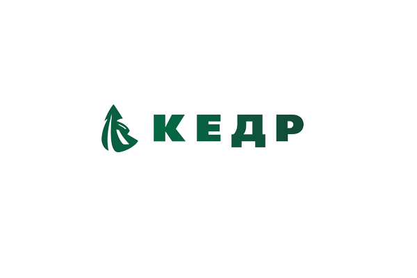 Кедр